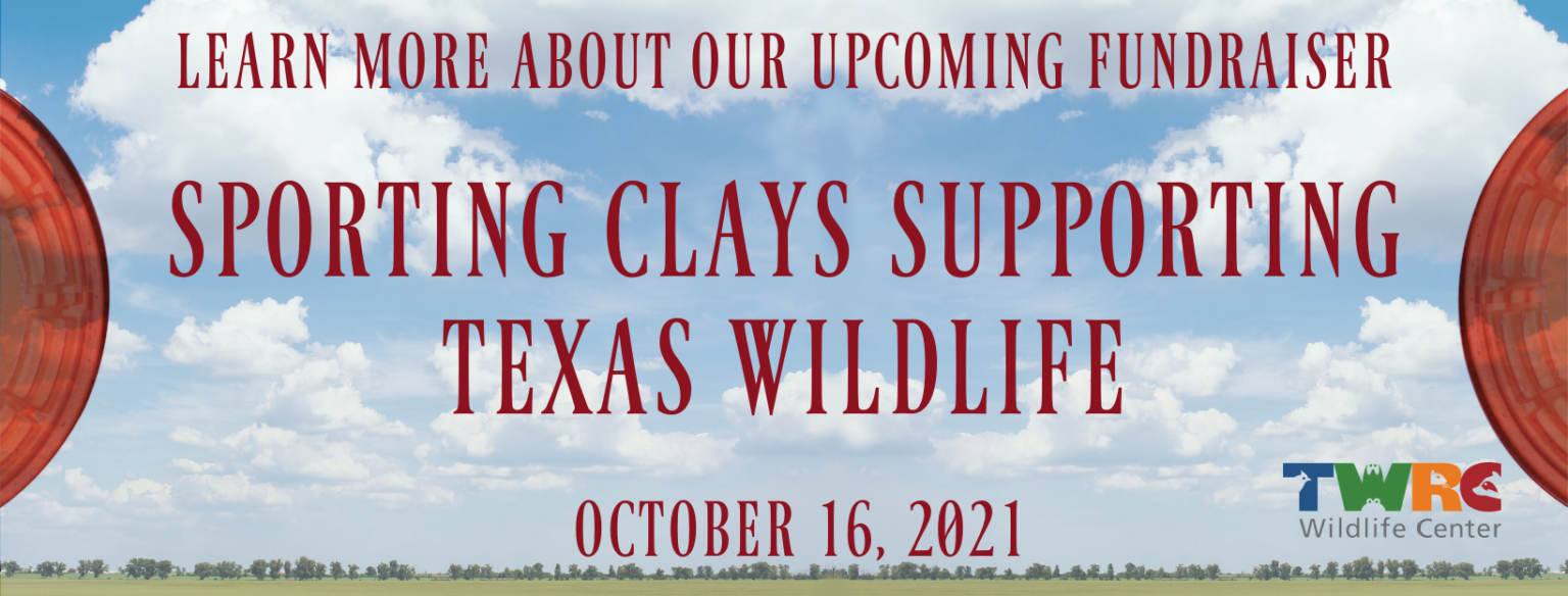 Texas Wildlife Rehabilitation Coalition – Caring for Urban Wildlife ...